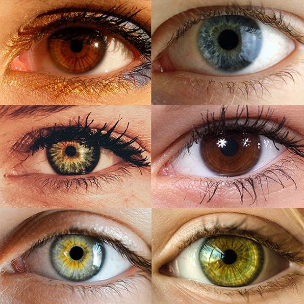 All blue eyes descend from a single common ancestor who lived